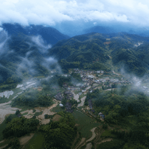 images-bg images-bg